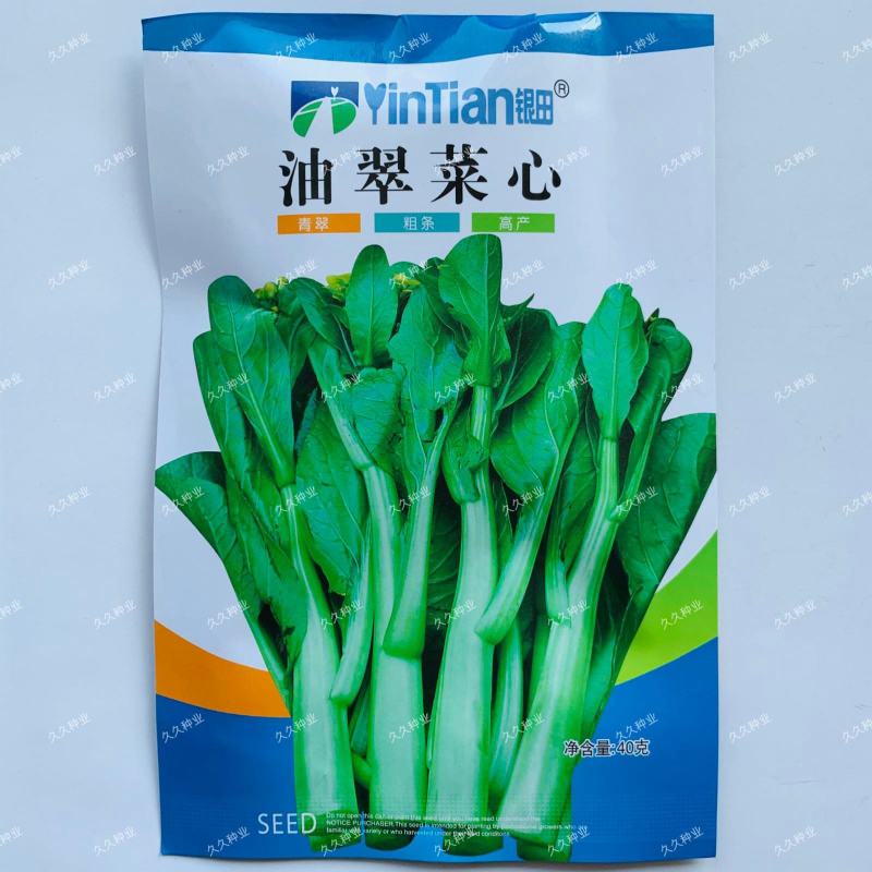 油翠菜心种子耐热耐湿青翠高产甜菜心菜台种籽春秋四季青菜苔