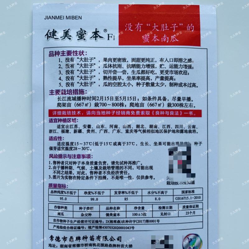 没有“大肚子”的蜜本南瓜种鼎牌健美蜜本南瓜种子面甜南北方