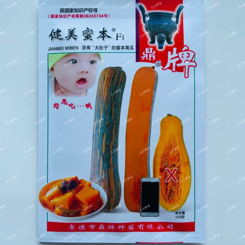 没有“大肚子”的蜜本南瓜种鼎牌健美蜜本南瓜种子面甜南北方