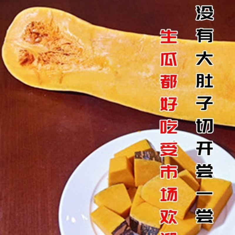 鼎牌健美蜜本南瓜种子没有大肚子蜜本南瓜早熟味甜高产农家蔬