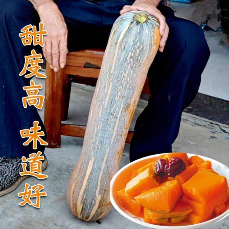鼎牌健美蜜本南瓜种子没有大肚子蜜本南瓜早熟味甜高产农家蔬