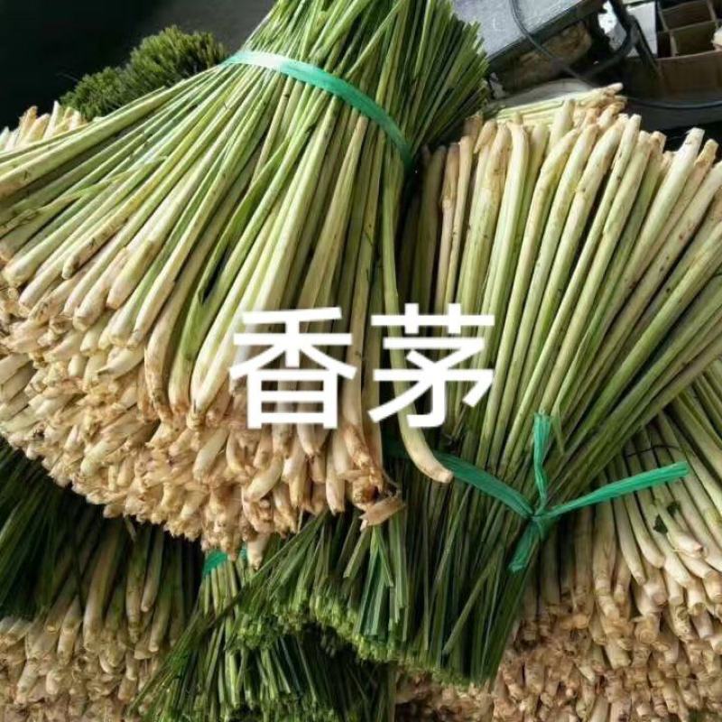 香茅草60斤/件可做调味，广州江南市场发货