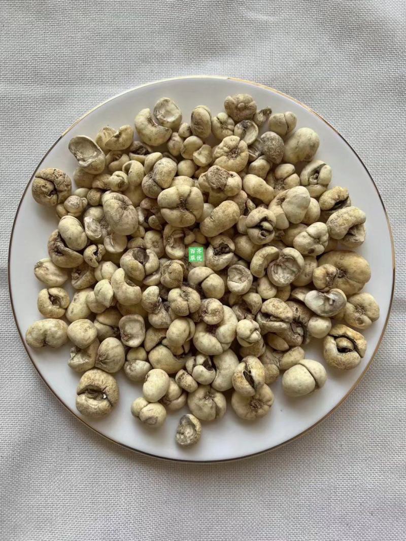浙贝母象贝，大贝母，浙贝，元宝贝，象贝母，大贝，贝母