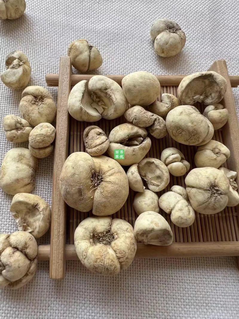 浙贝母象贝，大贝母，浙贝，元宝贝，象贝母，大贝，贝母