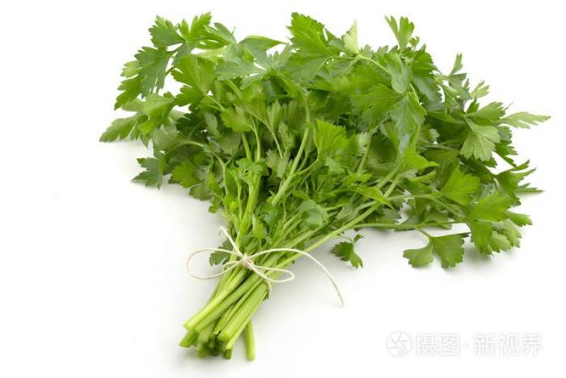 脱水蔬菜