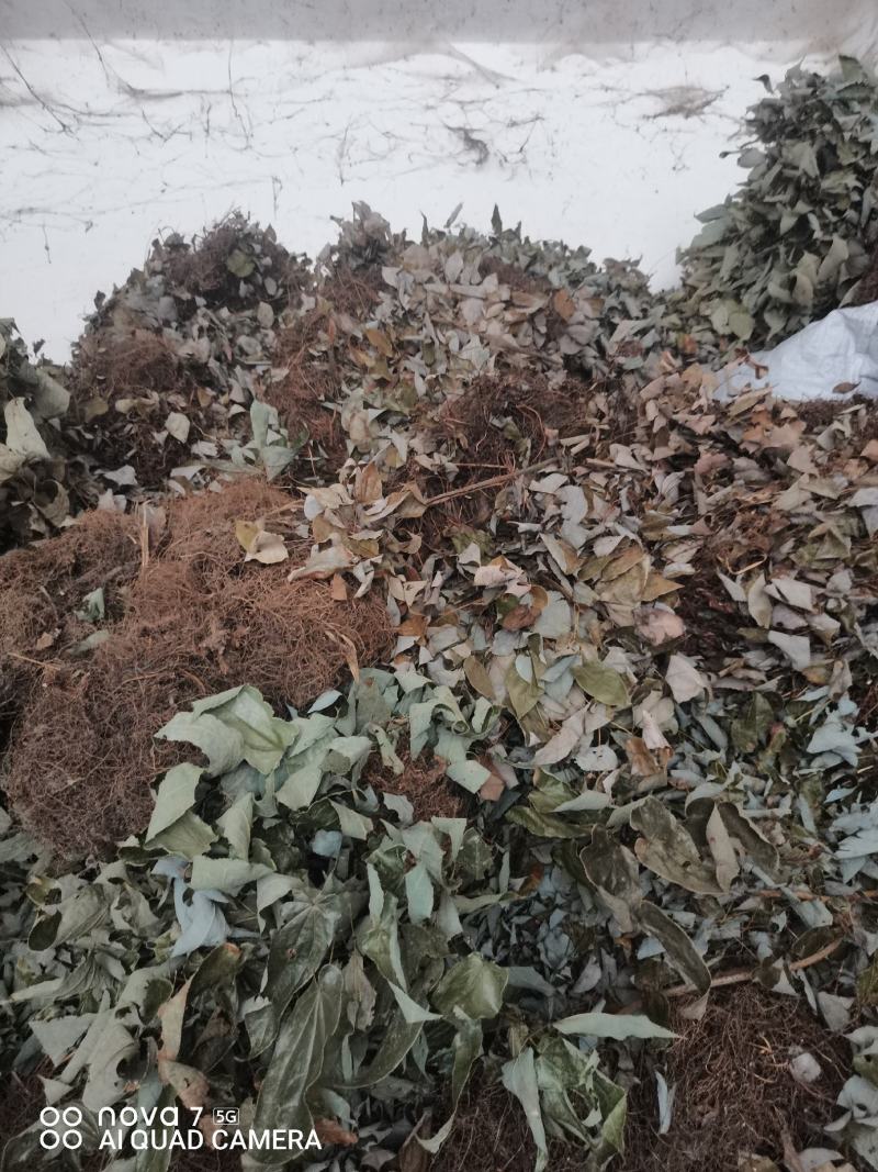 贵州中药材淫羊藿铜丝草羊合叶三支九叶草牛角花