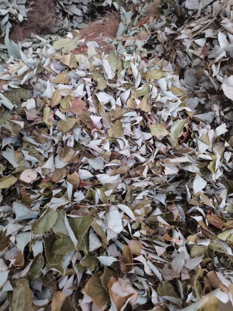 贵州中药材淫羊藿铜丝草羊合叶三支九叶草牛角花