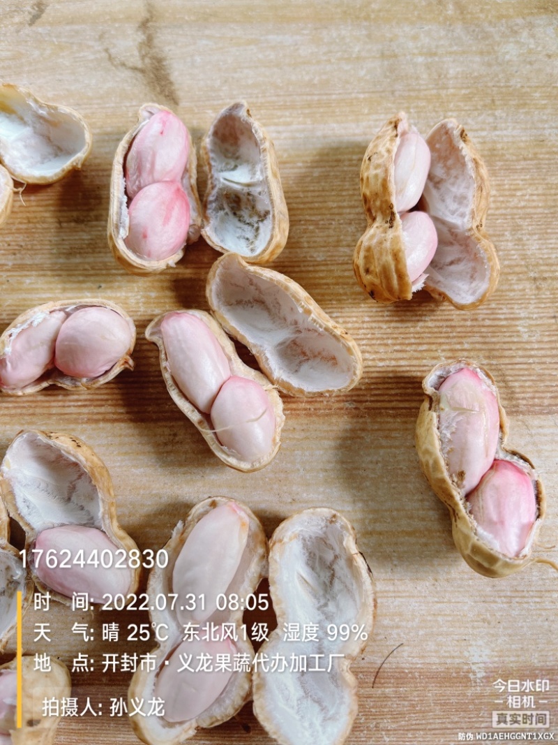 鲜花生大白沙小白沙人工挑选.商超.社区团购直供