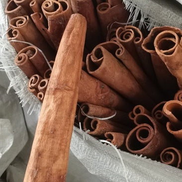 去皮肉桂通刮皮肉桂防城货味道浓郁地道药材量大从优