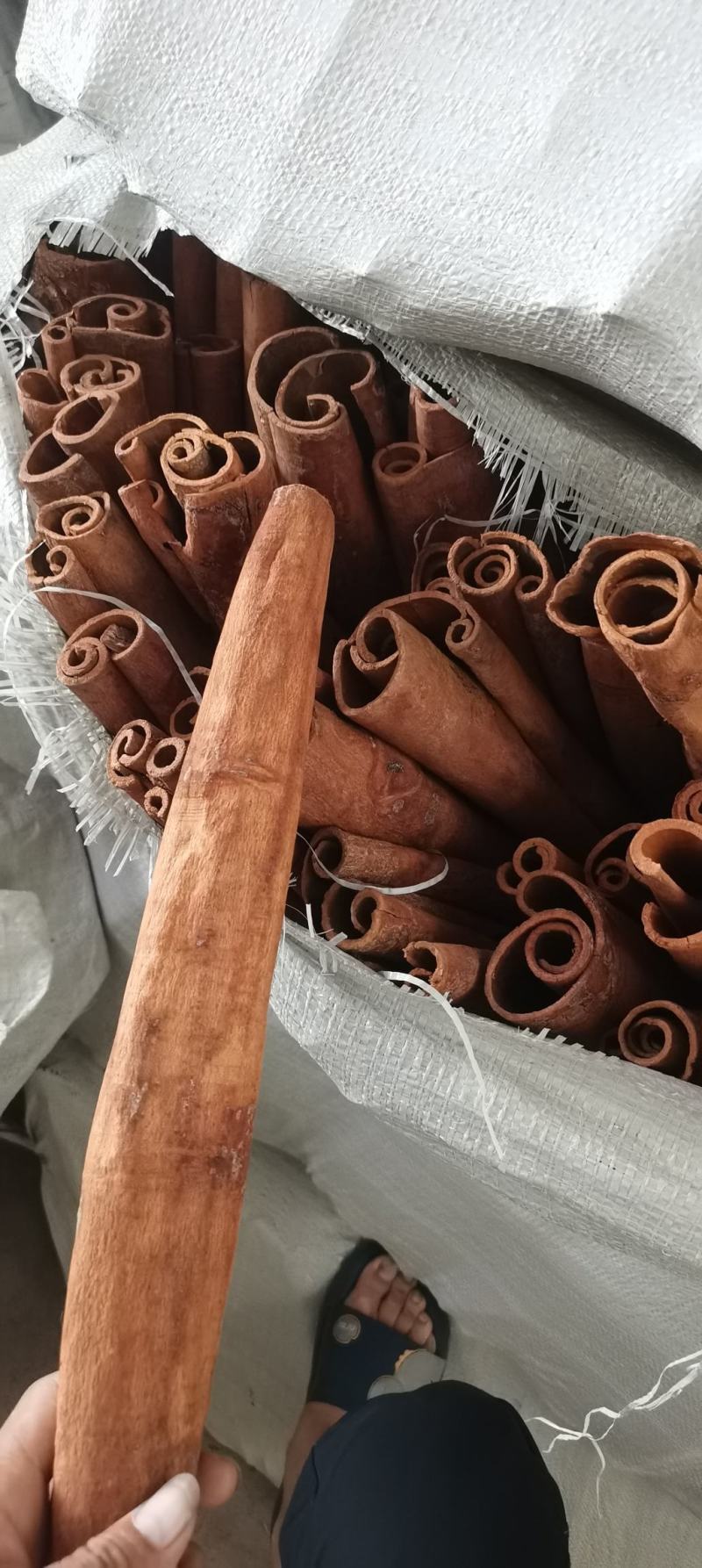 去皮肉桂通刮皮肉桂防城货味道浓郁地道药材量大从优