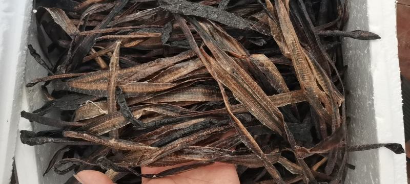 广地龙干货切片个子规格齐全含量达标量大从优