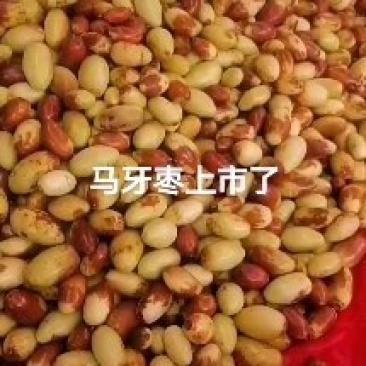 马牙枣上市了，有需要的朋友联系我啊