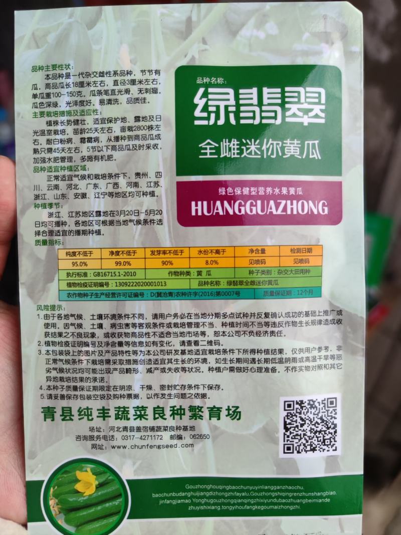 绿翡翠全雌迷你黄瓜种子，100粒
