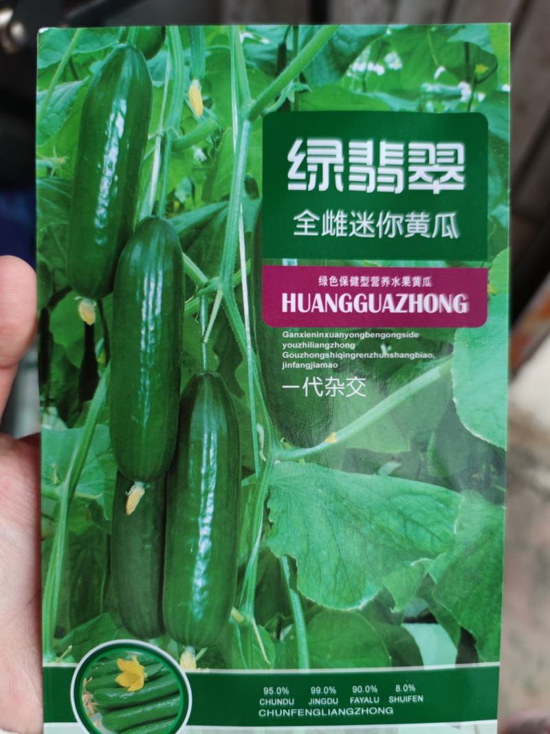 绿翡翠全雌迷你黄瓜种子，100粒