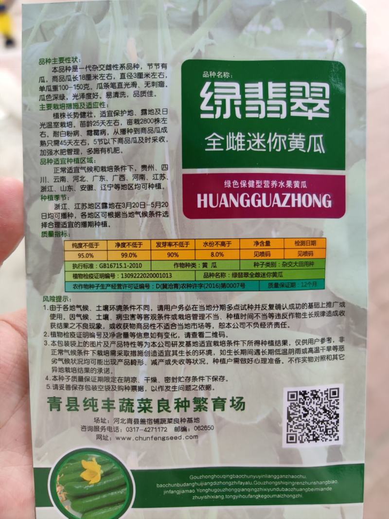 绿翡翠全雌迷你黄瓜种子，100粒