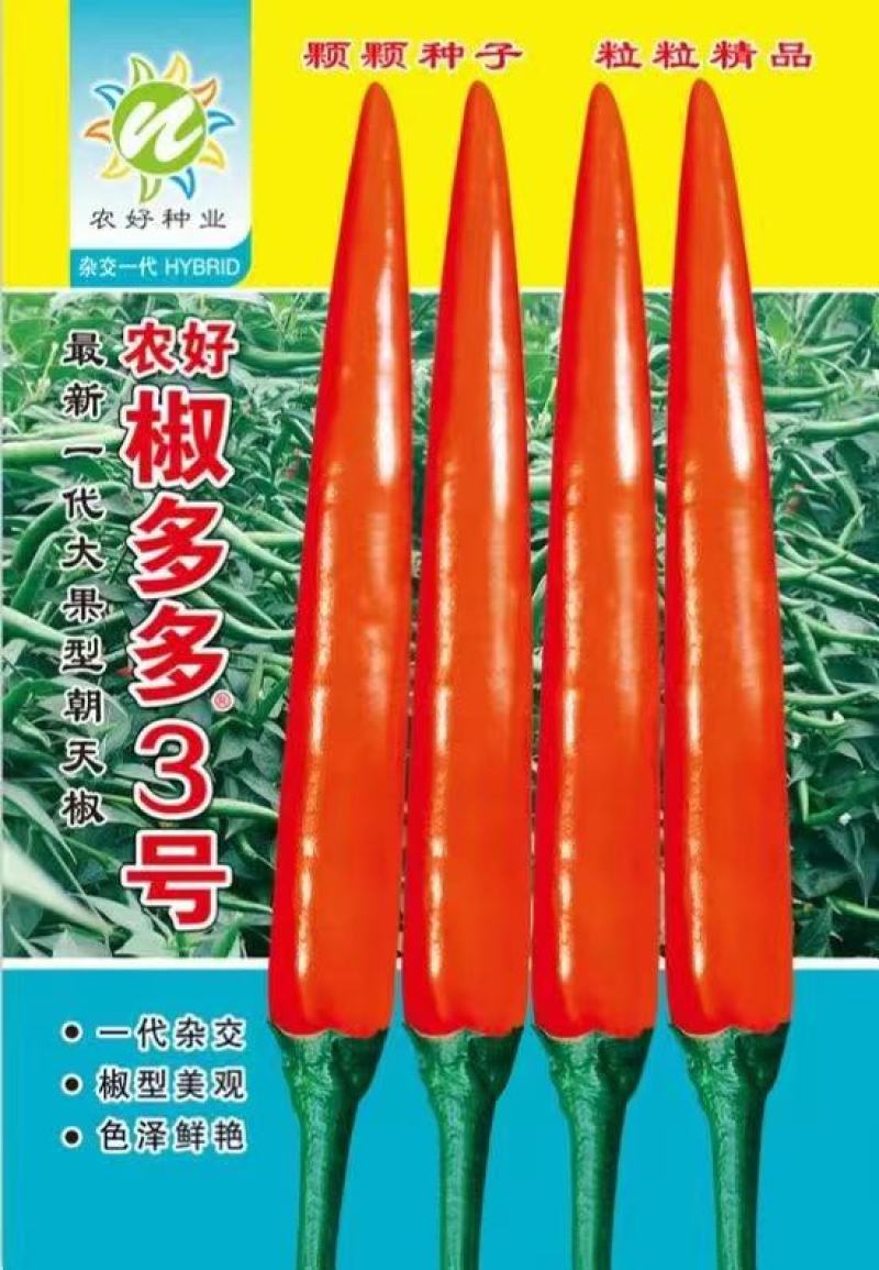 椒多多3号朝天椒种子，1000粒