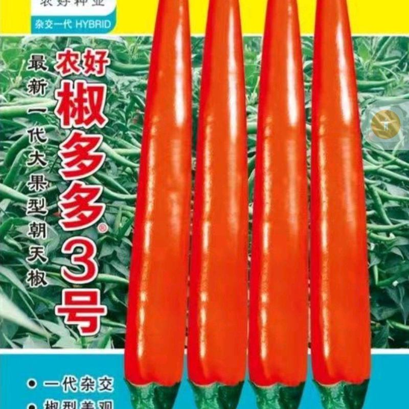 椒多多3号朝天椒种子，1000粒