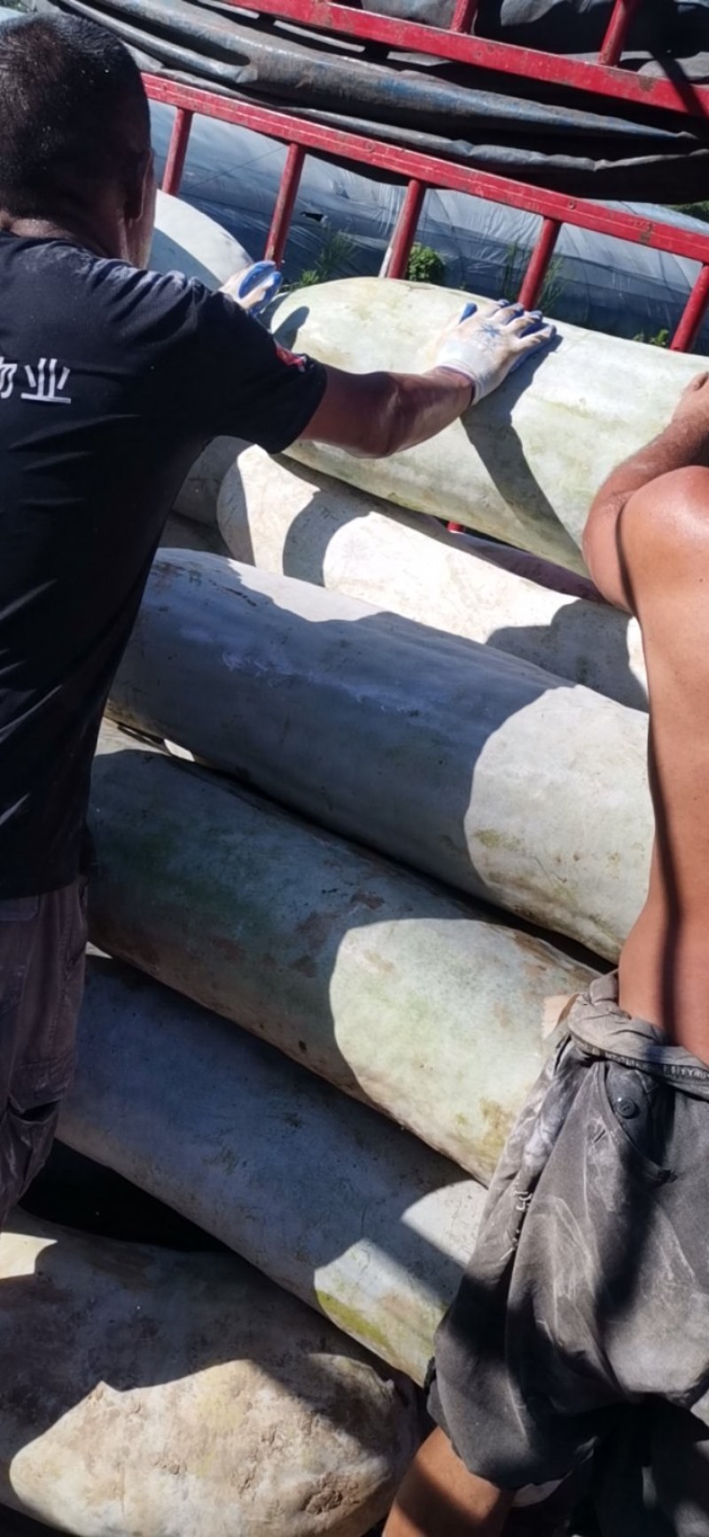 大量工厂货，需要的老板欢迎前来选购洽谈保质保量