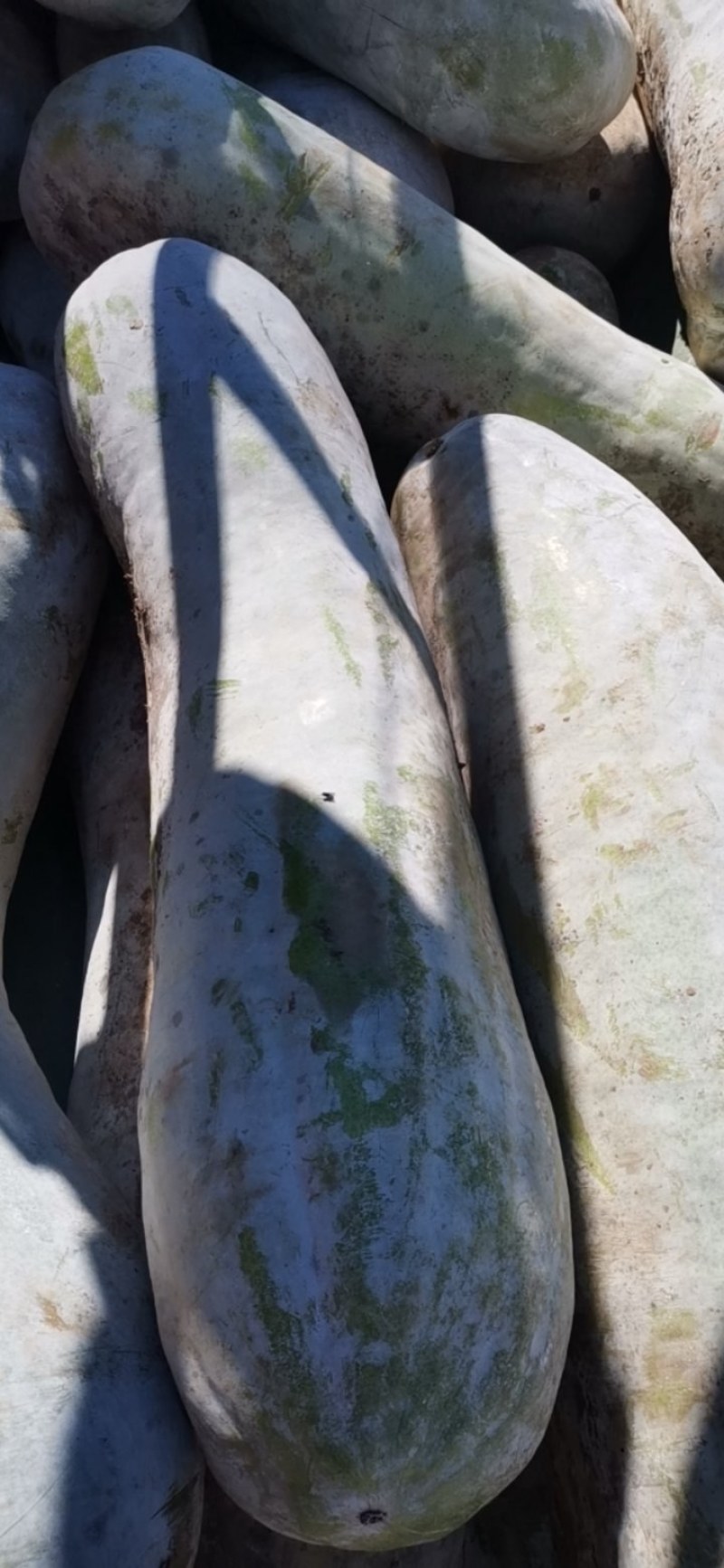 大量工厂货，需要的老板欢迎前来选购洽谈保质保量