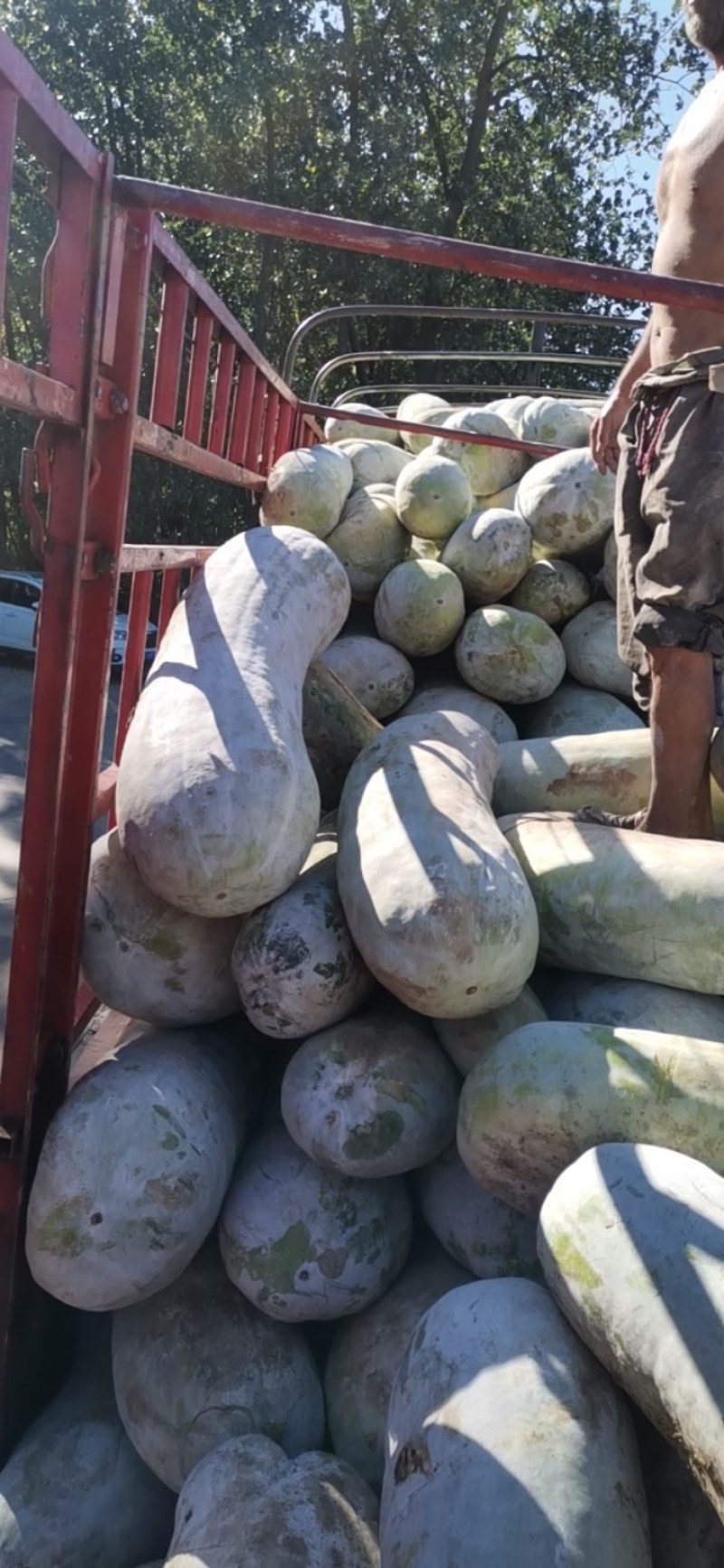 大量工厂货，需要的老板欢迎前来选购洽谈保质保量