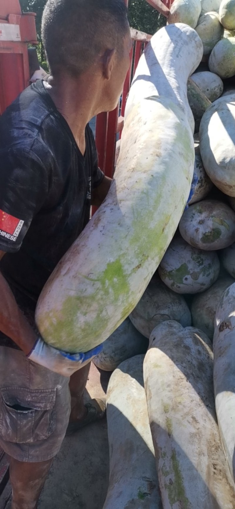 大量工厂货，需要的老板欢迎前来选购洽谈保质保量
