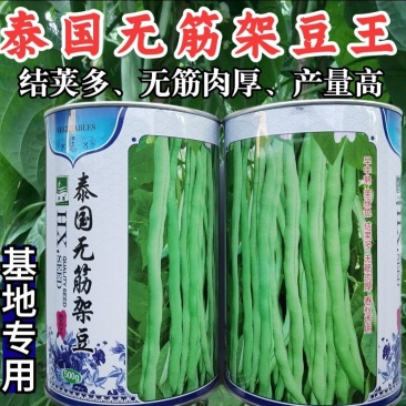 泰国无筋架豆w架豆种子，500克
