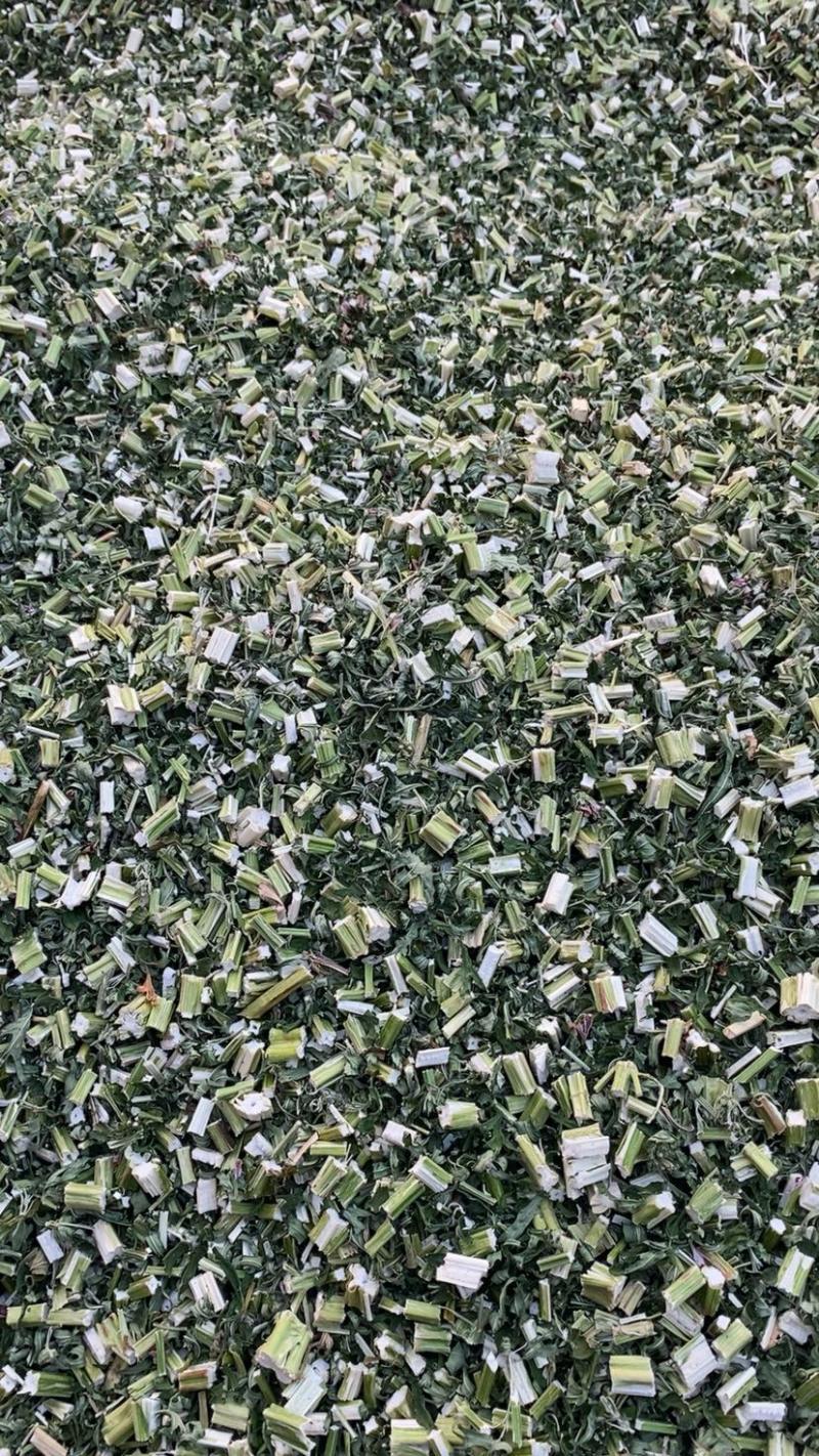 益母草坤草昆草新货颜色好供应各种中药材