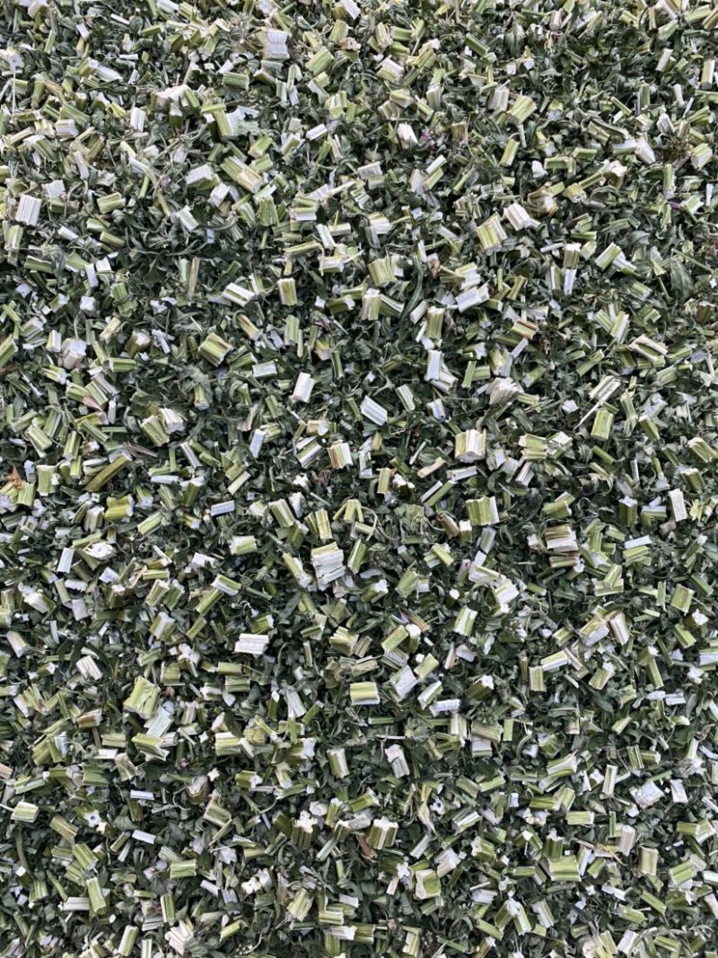 益母草坤草昆草新货颜色好供应各种中药材