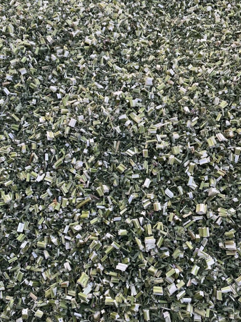 益母草坤草昆草新货颜色好供应各种中药材