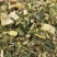 青储玉米饲料，全株玉米秸秆，大量供应全国