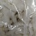 羊角丝国产山羊角丝不腥臭一公斤包邮退热药