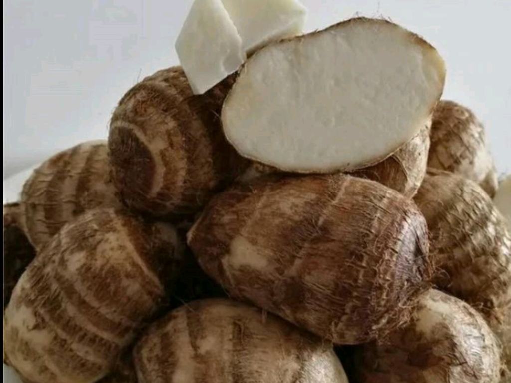 图片说明:厨师正在将香芋与猪肉馅搅拌均匀,肉馅呈现出光滑细腻的状态 香芋猪肉馅搅拌过程图