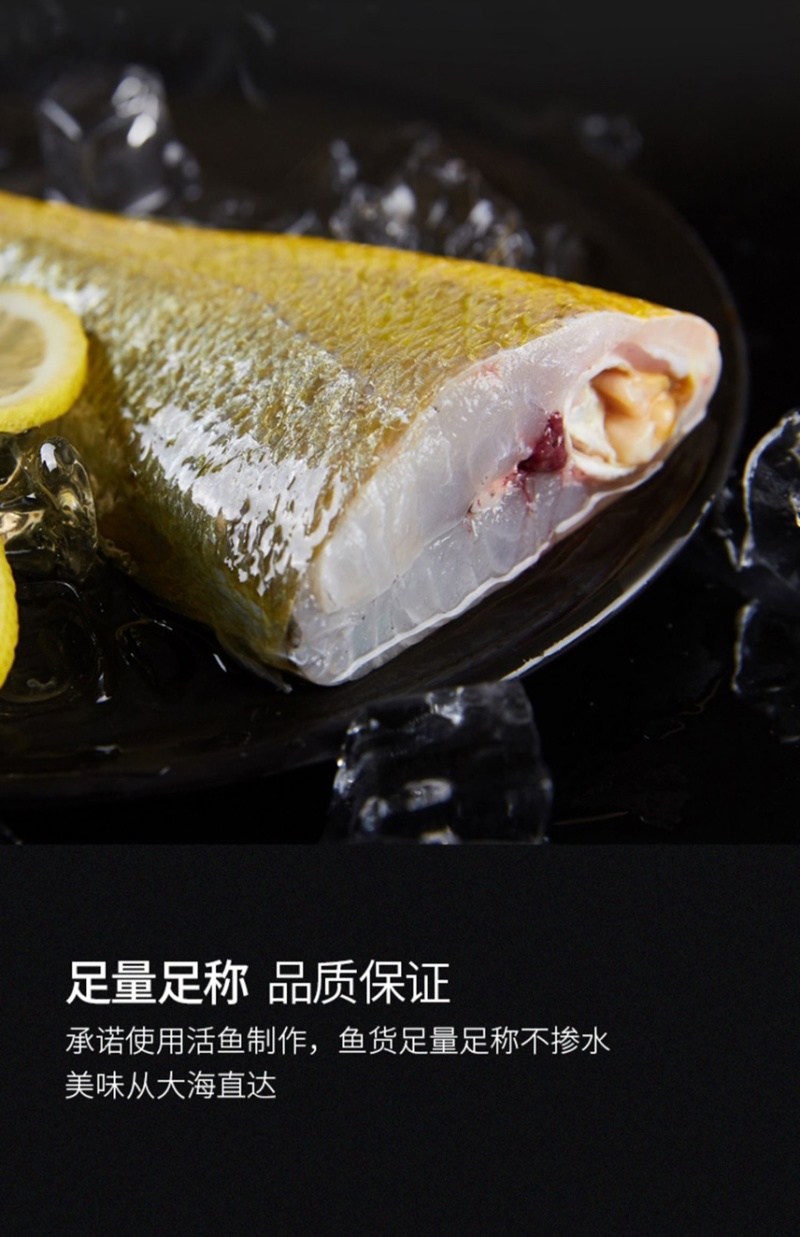 活鱼精品大黄鱼4-6两每条