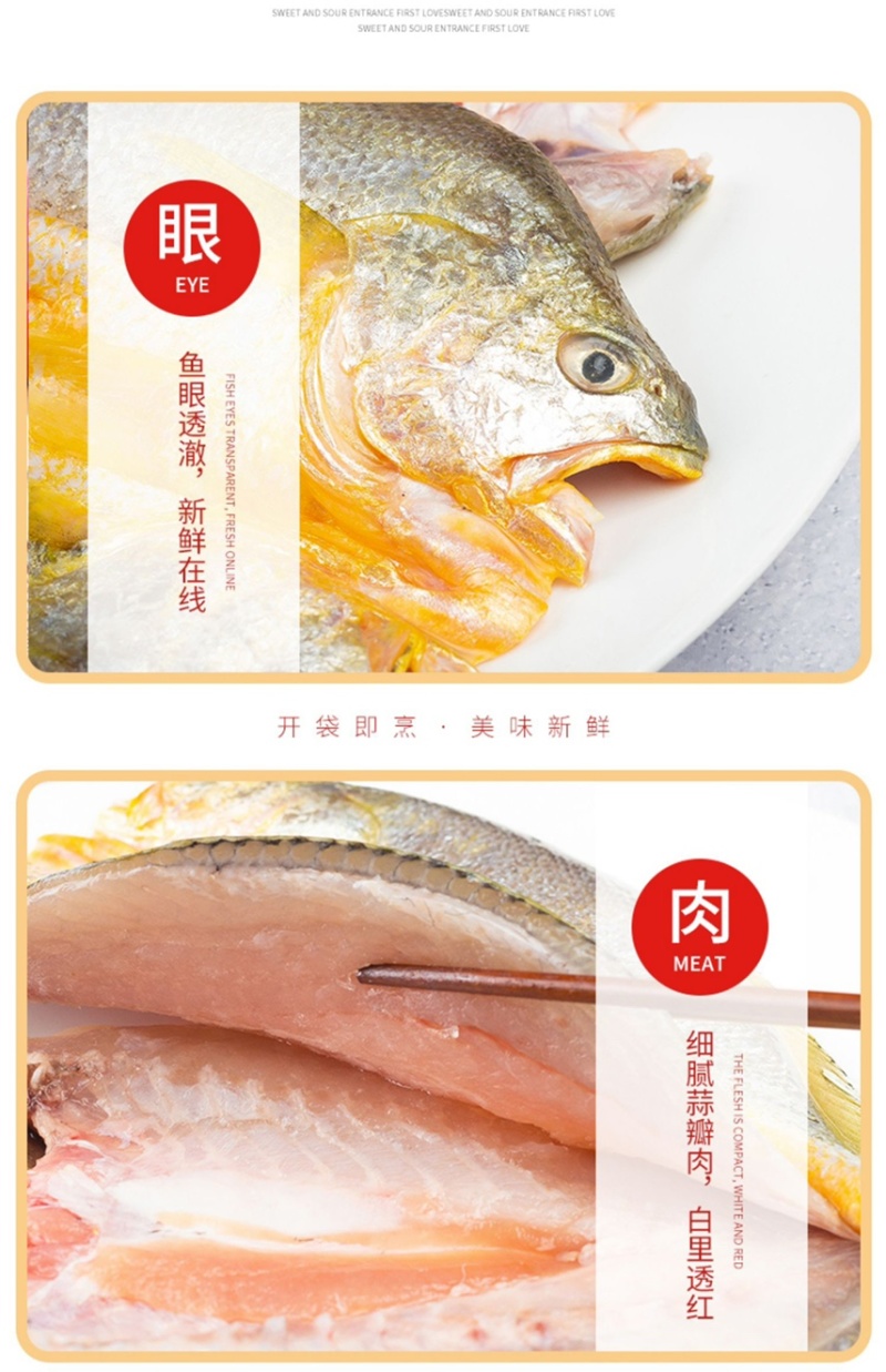 活鱼精品大黄鱼4-6两每条