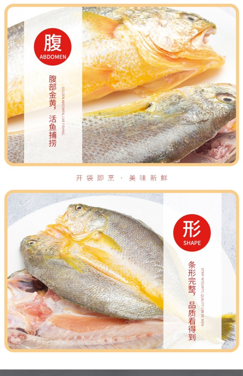 活鱼精品大黄鱼4-6两每条