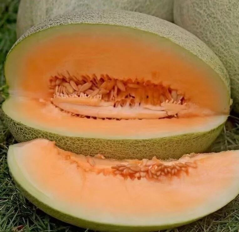 哈密瓜果肉状态对比