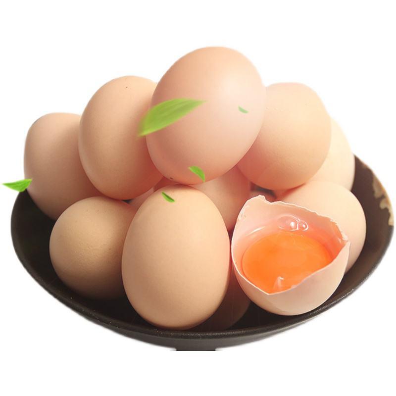 散养柴鸡蛋，土鸡蛋，溜达鸡蛋，鲜鸡蛋，营养佳品，老少皆宜