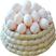 精品鸽子蛋，鲜蛋，营养佳品，老少皆宜，孕婴优选