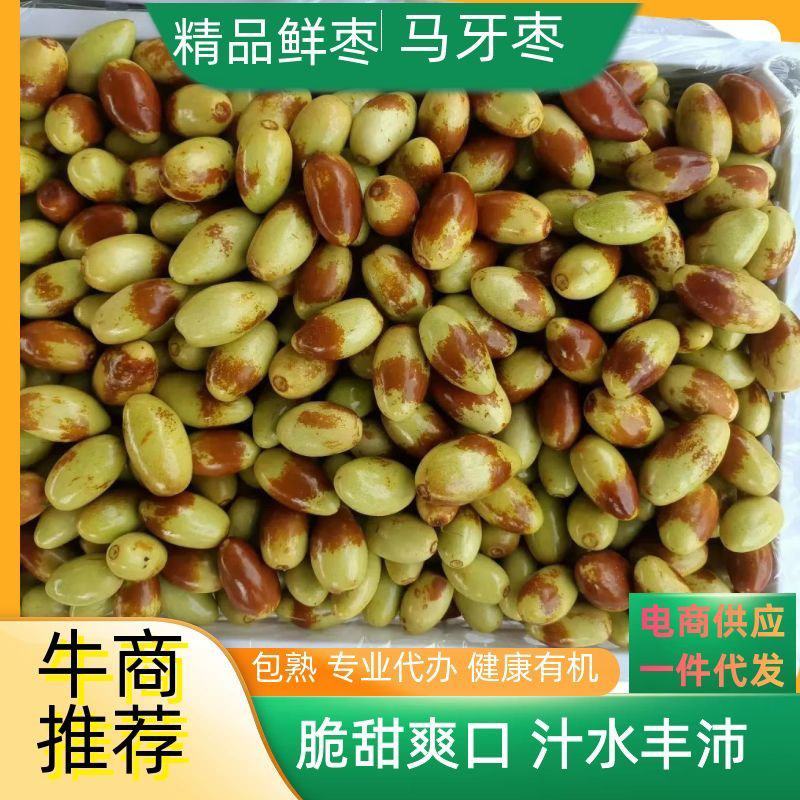 马牙枣大量上市中欢迎新老客户！实力代收原产地就是量大