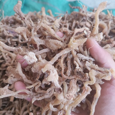 黄精