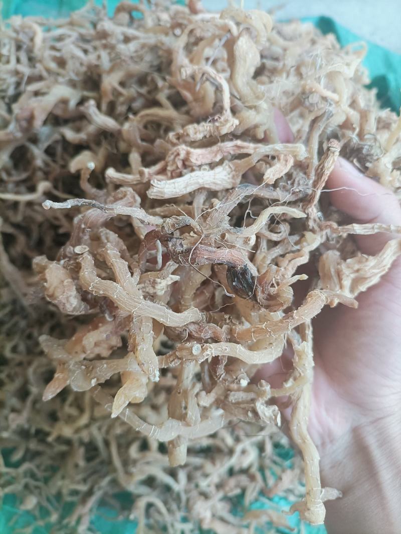 黄精