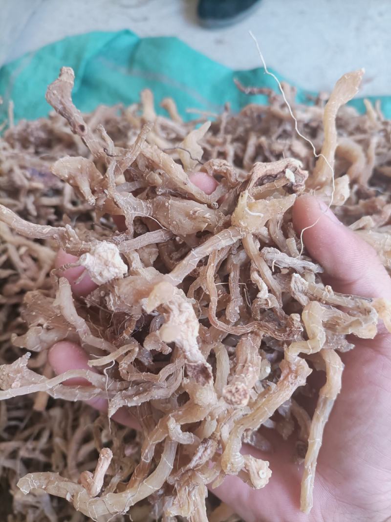 黄精