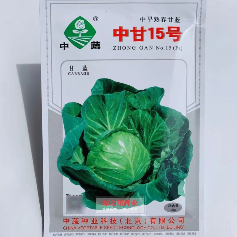 中蔬中甘15号甘蓝种子中早熟结球甘蓝种子蜡粉较少