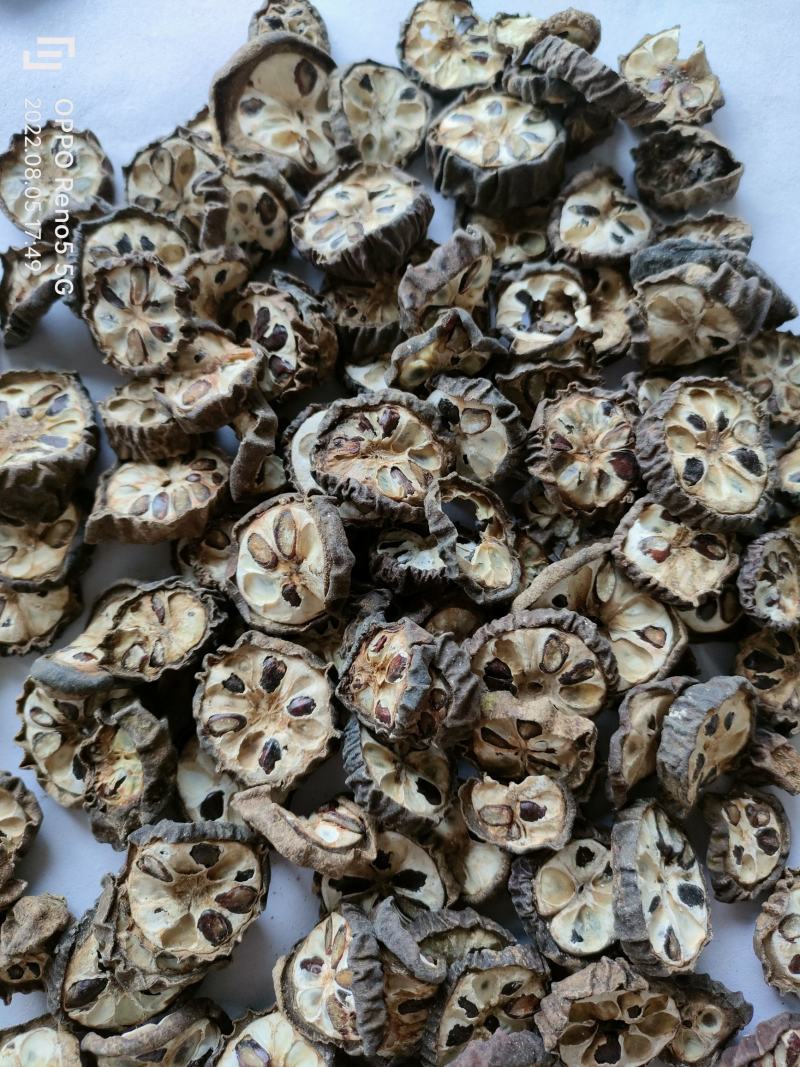 （热销）中草药大全预知子八月扎八月札实体中药材店