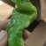 大量供应高山精品螺丝椒