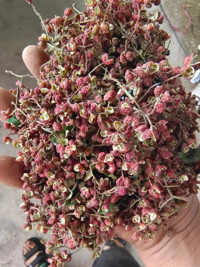 韩城大红袍花椒产地货源，产品热销中，今年价格便宜。