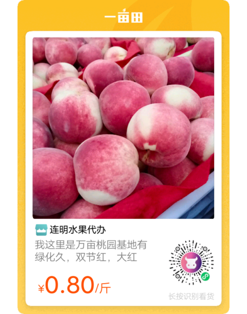 我们这里绿化久桃子以上市个头大，艳色红，口感甜，量很大。