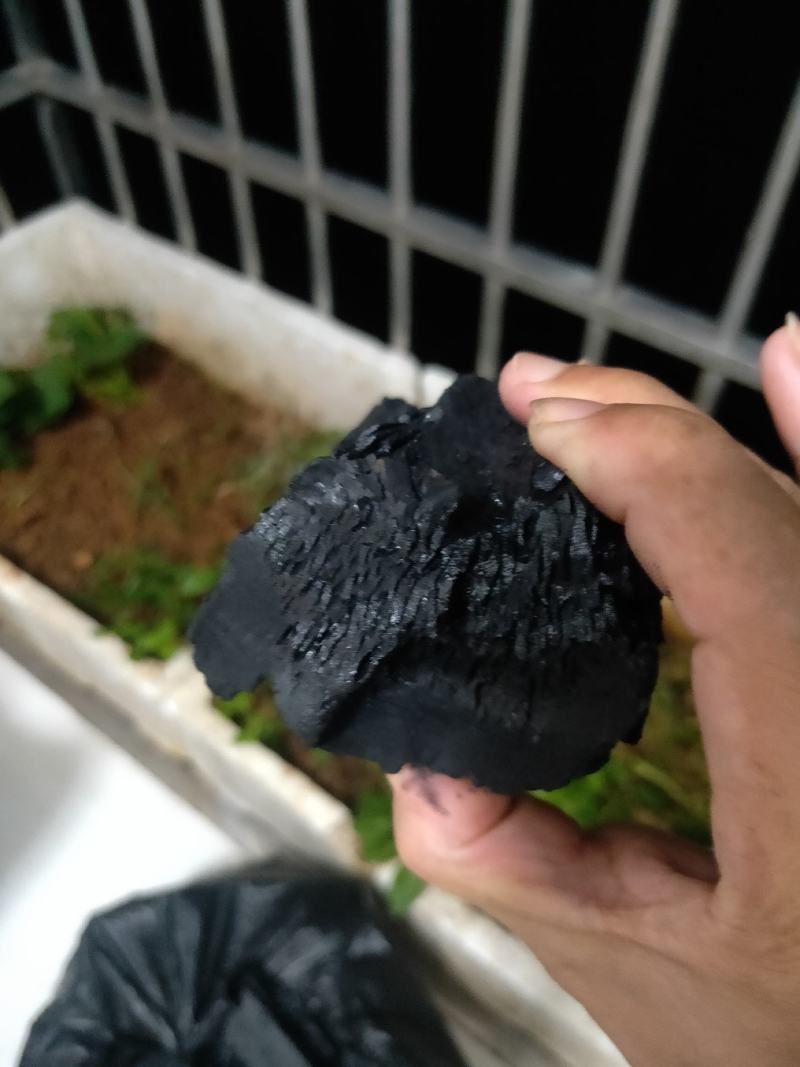 本人出售进口木炭，整柜26吨，需要的老板欢迎联系