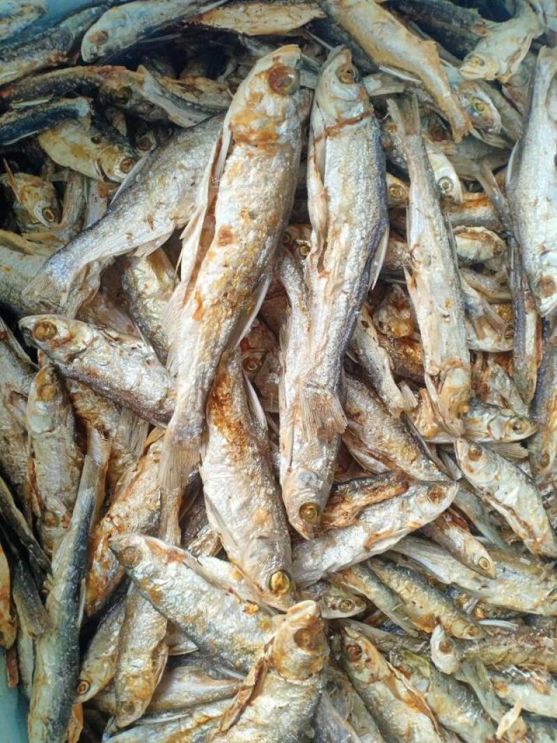 火焙鱼干，焦香酥脆新鲜原材，产地直发，一手货源，量大从优