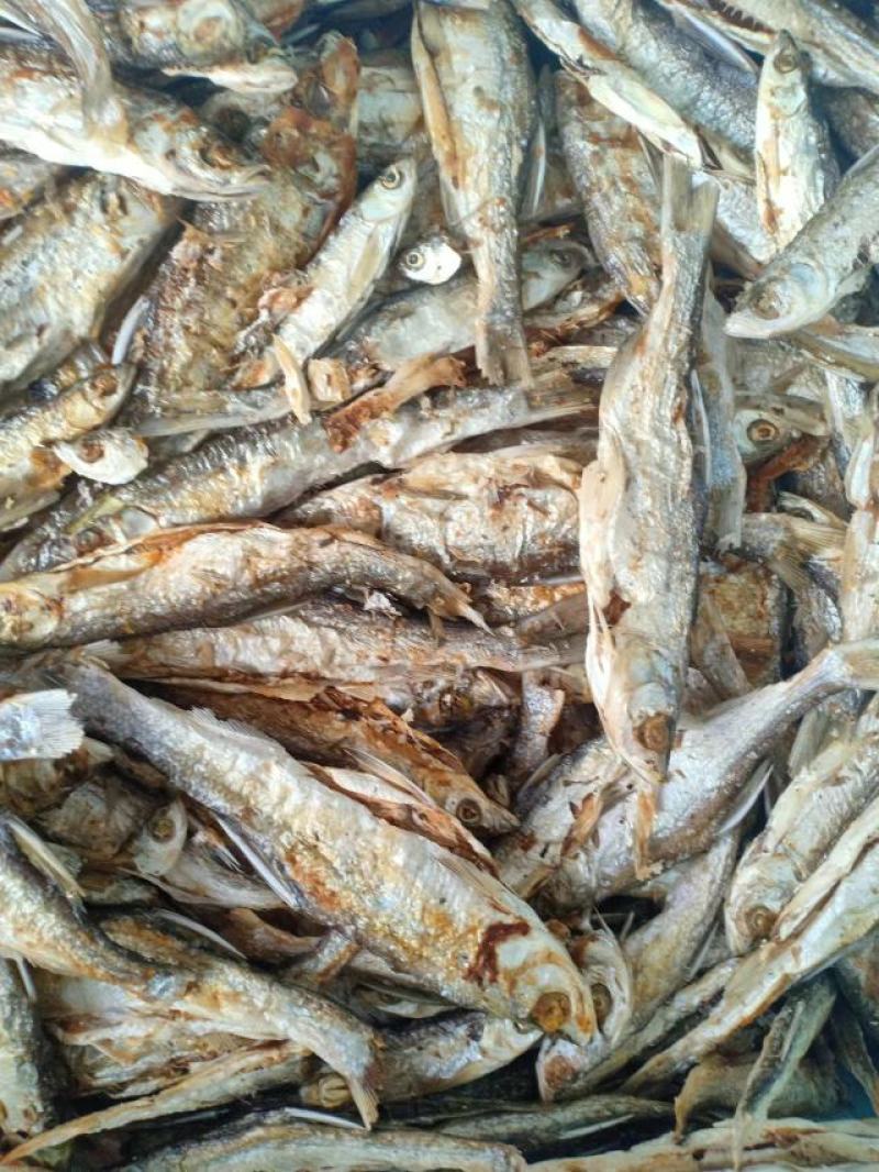 火焙鱼干，焦香酥脆新鲜原材，产地直发，一手货源，量大从优